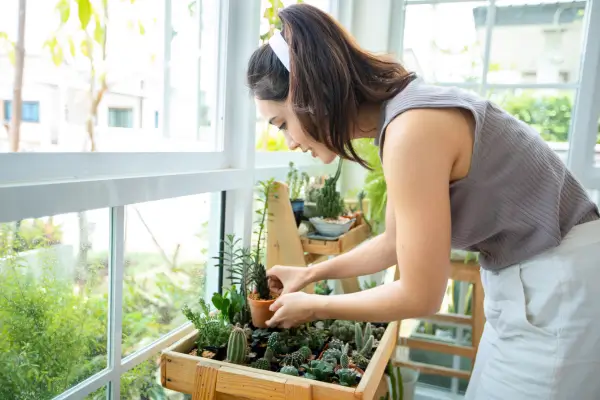 Jardins de Inverno em Ambientes Urbanos: Crie o Seu Próprio