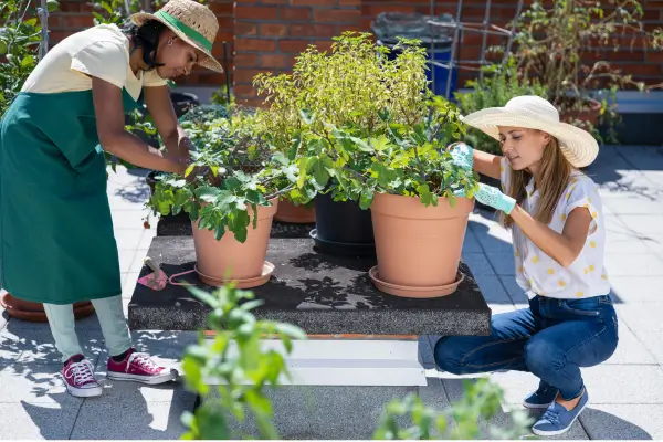 Jardinagem Urbana Sustentável: Técnicas Ecológicas para Cidades