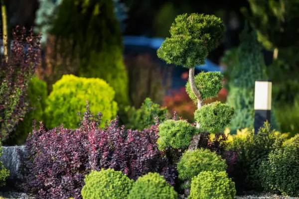 Plantas Ornamentais para Ambientes Urbanos: Beleza e Funcionalidade