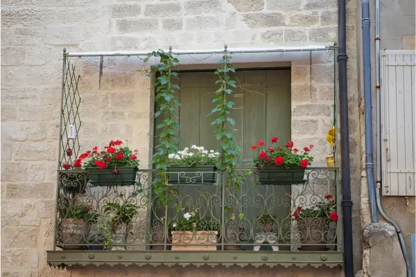 Como Manter Seu Jardim Urbano Saudável Durante Todo o Ano